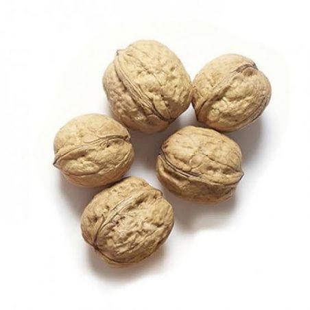 Walnuts with Shell - 500 gms