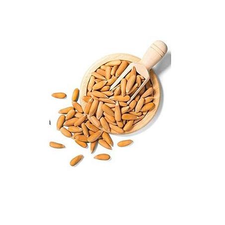 Chilgoza (Pine Nuts) - 250 Gms