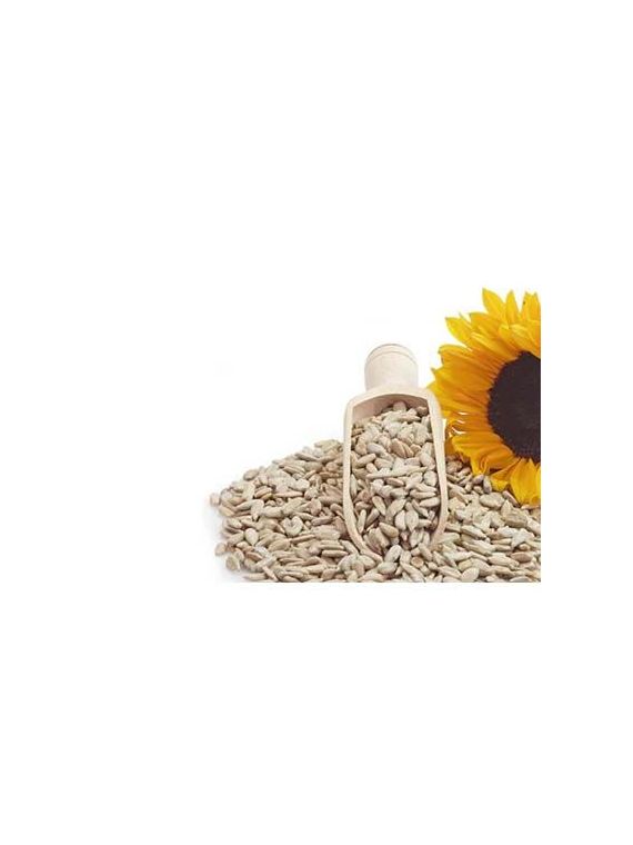 Sunflower Seeds - 250 Gms