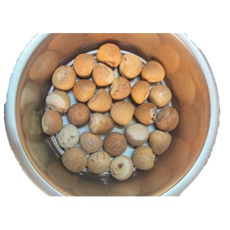 Abbai whole Betel Nut (Areca Nut) - 250 Gms